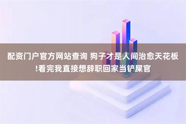 配资门户官方网站查询 狗子才是人间治愈天花板!看完我直接想辞职回家当铲屎官